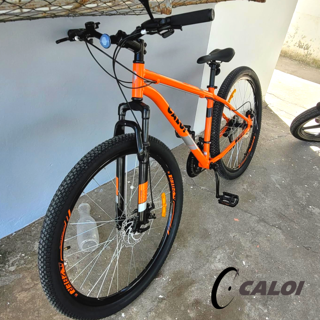 Bicicleta Mtb Caloi Two Niner Alloy Aro 29 Susp Dianteira Quadro Aluminio Shimano 21 Velocidades Freio a Disco PROMOON