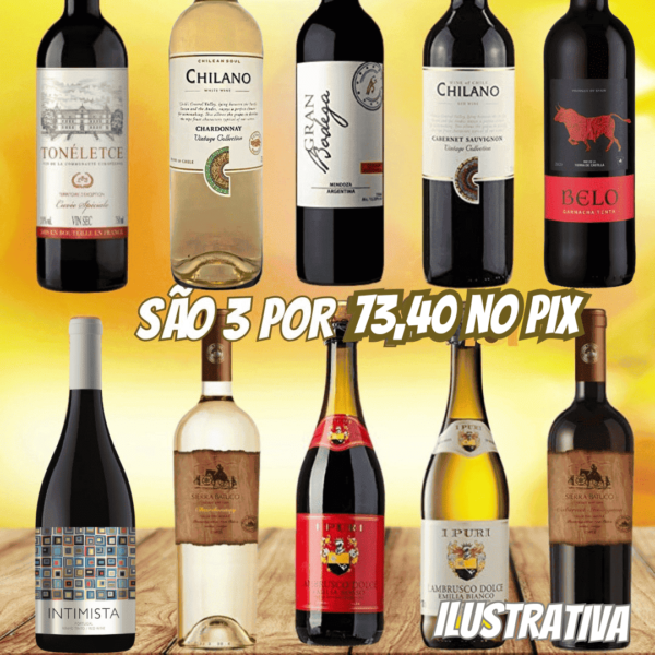 Seleção de Vinhos Picarón,Sierra Batuco,I Puri,El Torito,Tonéletce,Gran Bodega,Chilano,Pauliteiros