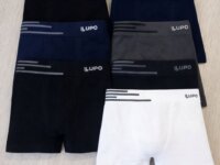 Kit 6 Cuecas Lupo Boxer Box Sem Costura Basic Microfibra (3 opções)