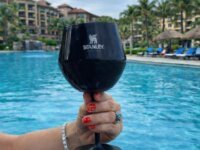 Stanley - Taça Térmica, copo de gin ou vinho, 414 ml, Black Gloss